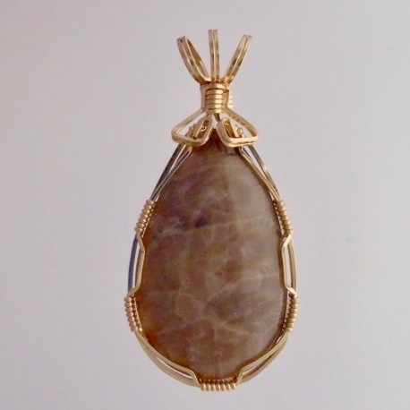 Sidelong Petoskey stone Pendant