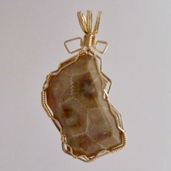 Crooked Look Petoskey Stone Pendant