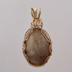 White petoskey Stone Pendant