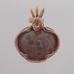 Mahogany Eyes Petoskey Stone Pendant