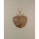 White Charm Petoskey Stone Pendant