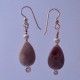 Teardrop Petoskey Stone Earrings