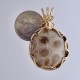 Fossil Beauty Petoskey Stone Pendant