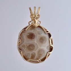 Fossil Beauty Petoskey Stone Pendant