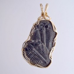 Love Birds Trilobite Pendant