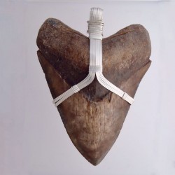 Apex Predator Megalodon Tooth Pendant