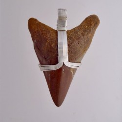 Deep Depth Megalodon Tooth Pendant