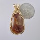 Orange Petrified Wood Pendant