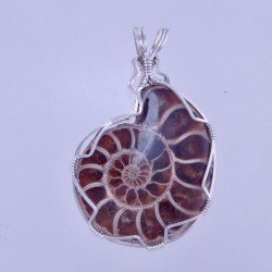 Thrilling Ammonite Pendant