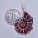 Thrilling Ammonite Pendant