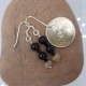 Petoskey Stone and Black Stone Bead Earrings