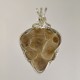 Michigan Petoskey Stone Pendant