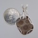 Dexter Petoskey Stone Pendant