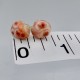 Thomsonite Stud Earrings