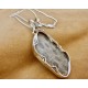Pussy Willow Petoskey Stone Pendant