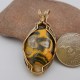 Picasso Face Bumblebee Jasper