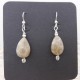 Teardrop Petoskey Stone Earrings in Silver