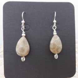 Teardrop Petoskey Stone Earrings in Silver