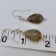 Teardrop Petoskey Stone Earrings in Silver