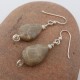 Teardrop Petoskey Stone Earrings in Silver