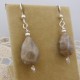 Teardrop Petoskey Stone Earrings in Silver