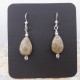 Teardrop Petoskey Stone Earrings in Silver