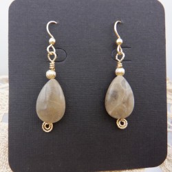 Teardrop Petoskey Stone Earrings in Gold