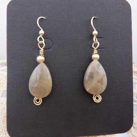 Teardrop Petoskey Stone Earrings in Gold