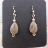Teardrop Petoskey Stone Earrings in Gold