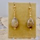 Teardrop Petoskey Stone Earrings in Gold