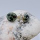 Isle Royale Greenstone Silver Stud Earring