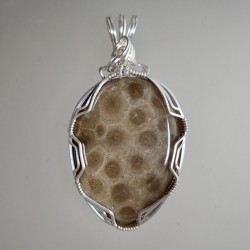 Michigan  Petoskey Pendant