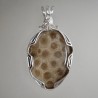 Michigan  Petoskey Pendant