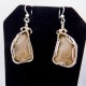Wire-wrapped Petoskey Stone Earrings