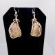 Wire-wrapped Petoskey Stone Earrings