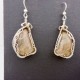 Wire-wrapped Petoskey Stone Earrings