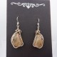 Wire-wrapped Petoskey Stone Earrings