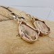 Wire-wrapped Petoskey Stone Earrings