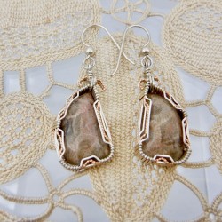 Wire-wrapped Petoskey Stone Earrings