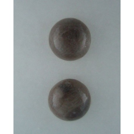 Petoskey Stone Stud Earrings