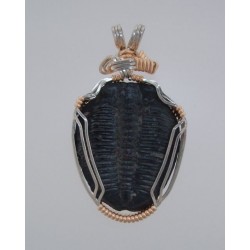 Cute Guy Trilobite Pendant