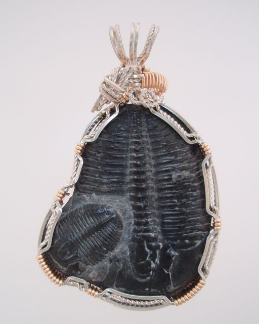 trilobite necklace