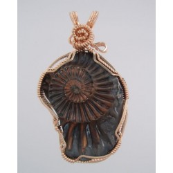 Golden Beauty Ammonite Pendant